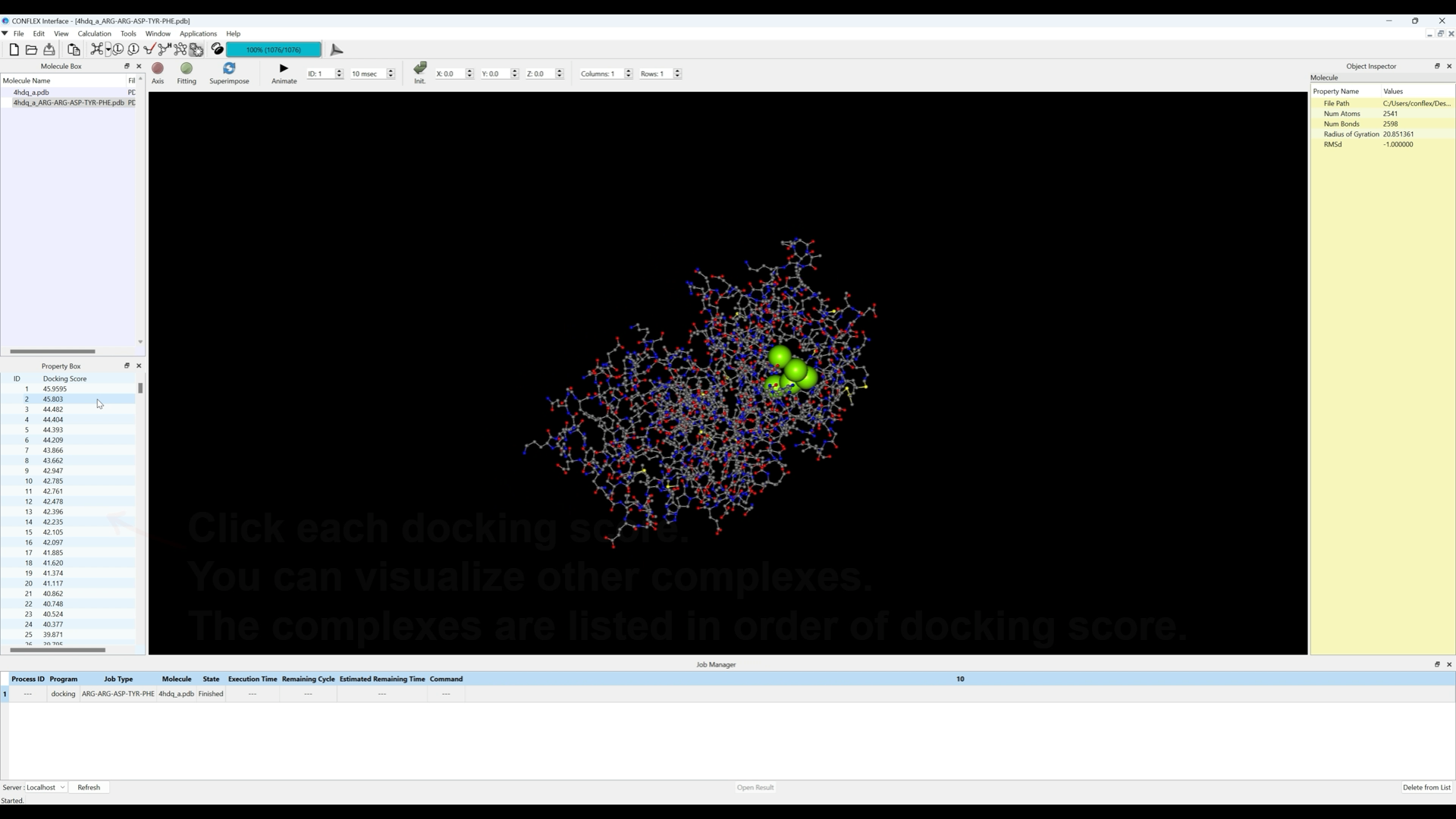 分子ドッキング計算